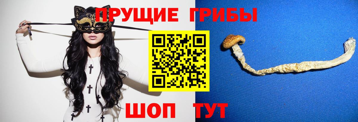 Галлюциногенные грибы мухоморы  Вход с VPN  Курчатов 
