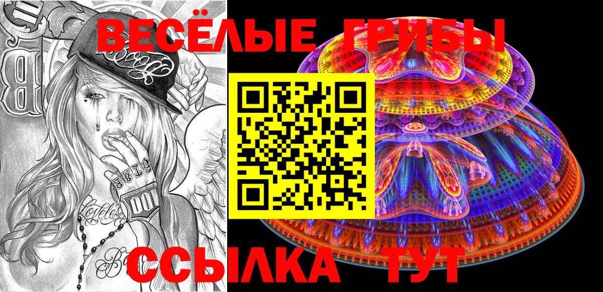 Галлюциногенные грибы Psilocybe Курчатов
